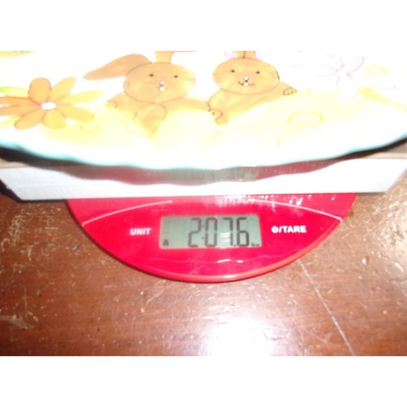 Cracker Barrel "Spring Has Sprung" Easter Deviled Egg Plate/Dish 13" x 9 3/4" - Picture 7 of 7